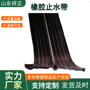 Waterproofing Outer Adhesive Steel Edge 651 Type Embedded Rubber止水 Strip for Construction Joints in Tube Gallery, Subway, and Tunnel
