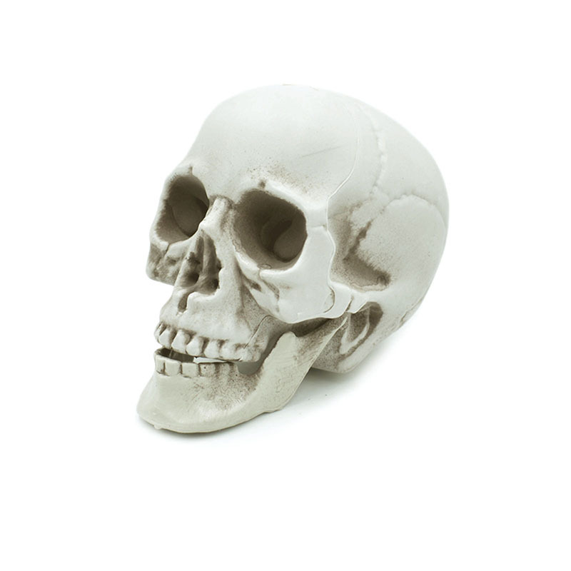 Halloween props simulación esqueleto humano horror Ghost Head bar casa embrujada Cámara atmósfera decoración cráneo