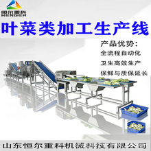 草莓果蔬气泡清洗机 桑芽菜清洗漂烫风干线 水果深加工流水线