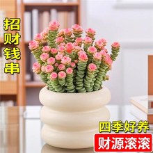 �X��������ֲ���ɫ�X���Ӷ��^Ⱥ����ؔ�M���҃Ȼ����������ֺ��B