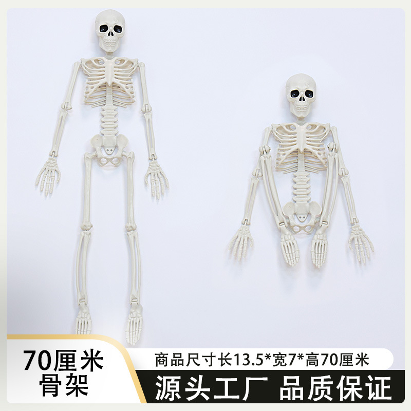 Halloween Escape House embrujado esqueleto humano simulación horrores props tumbas robatorias 70CM esqueleto esqueleto transfronterizo