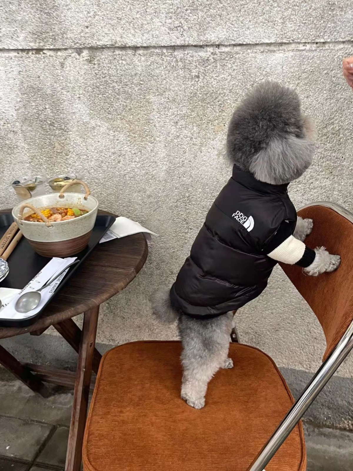 HG 작은 개 개 옷 가을과 겨울 따뜻한 애완 동물 다운 재킷 조끼 방법 개 테디 옷 겨울