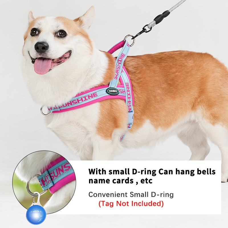 Vest Style Pet Harness Walking Leash For Small And Medium Dogs Corgi Bichon Teddy Dog Chain_voghion.com