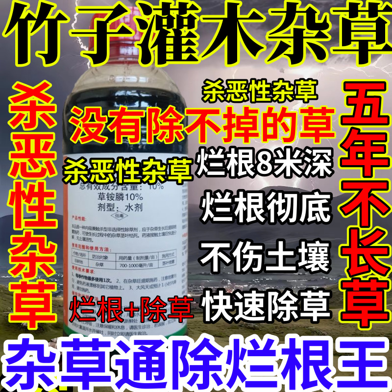 竹子灌木杂草精草铵膦铵盐果园烂根小飞蓬耕地强效除草剂烂根王