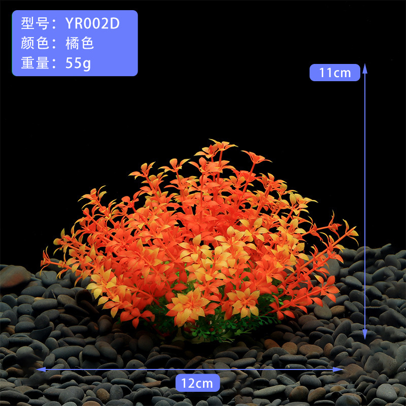 Naranja Lisiana