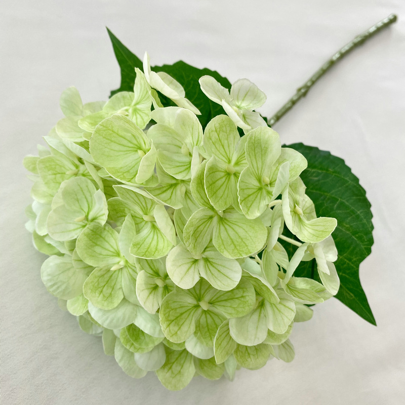 手触り婉曲約72枚のアジサイの家庭装飾花芸結婚祝いに偽花の手触りソフトゴムを配置してアジサイの花をシミュレーションした|undefined