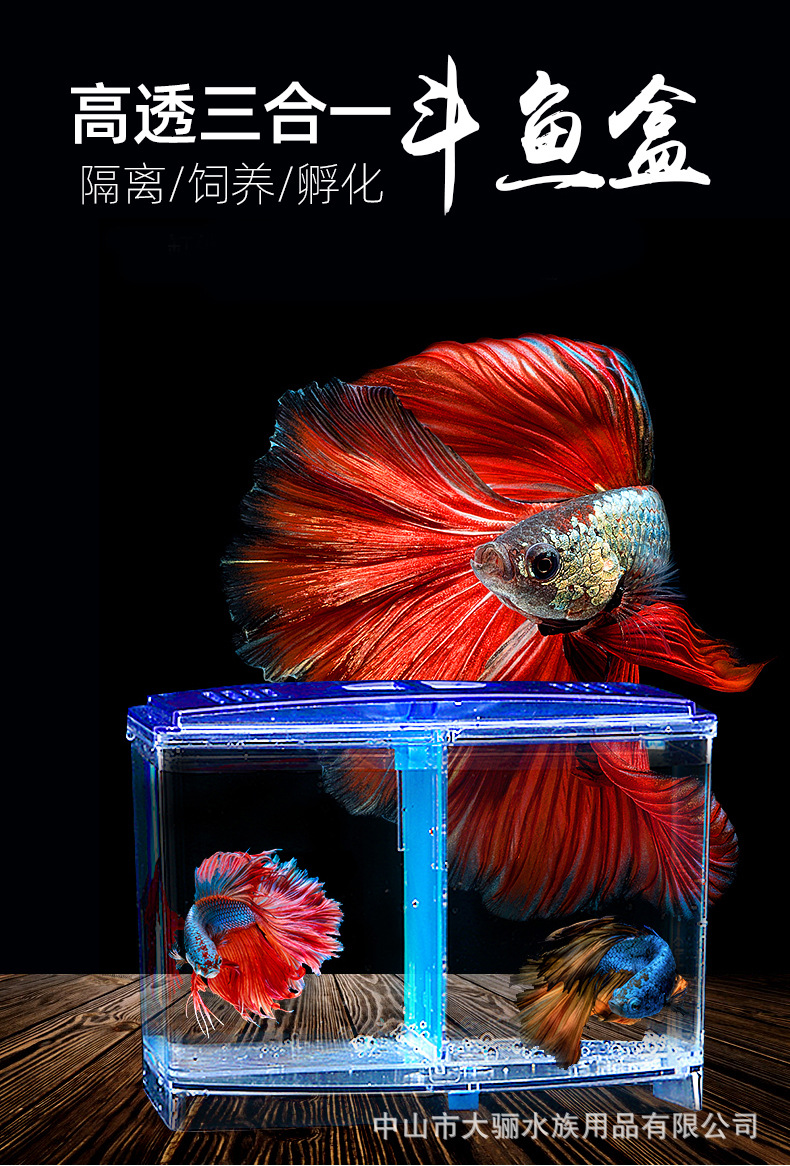 O1CN01WiiD2t26SKVrxteKm_!!2208