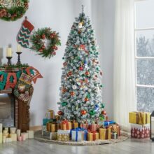 ���̴���ֲ��ʥ������ѩ�����Զ���250-450��ʥ���ڽ��ճ���װ��