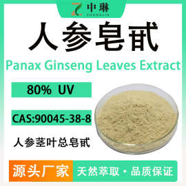 人参皂甙80%人参提取物 水溶性人参茎叶总皂苷 源头工厂现货1kg装
