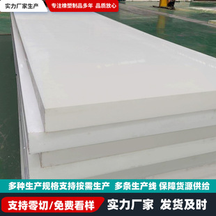 Customized Ultra-High Molecule Polyethylene Plate Wear-Resistant Engineering Plastic Pad Self-Lubricating Coal Warehouse Lining Plate