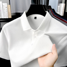 �ļ���˿����Polo����2026�¿��͸�������������д�ɫ��ʿt��