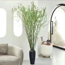 龙柳鲜枝水养懒人水培植物水里养的花落地易成活高端客摆四季绿植