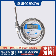 DTM491不锈钢带探头数字双金属温度计WST数显防水工业用表