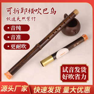 �S�ҹ�����Ȼ�����p���ɲ�͞� �M����F�{G�{ �W���� ���嘷��