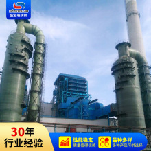 山东厂家 脱硫除尘玻璃钢塔器 玻璃钢塔器尾气吸收塔洗涤塔