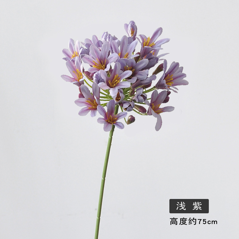 밝은 보라색