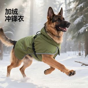 �羳���������·��ӽq���·��_�h�·����ˮ�������������÷�