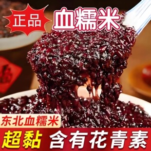 ѪŴ�׺����������ږ|������偰�����s�Z5�����̲�Ŵ�����׸�