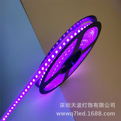 来样加工5050防水跑马灯硅胶灯带 感应灯带 led灯条 12v灯带批发