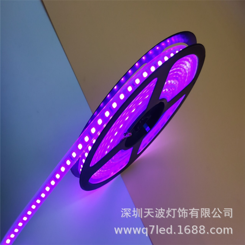 来样加工5050防水跑马灯硅胶灯带 感应灯带 led灯条 12v灯带批发