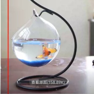 [微景观玻璃花瓶铁艺花瓶摆件]