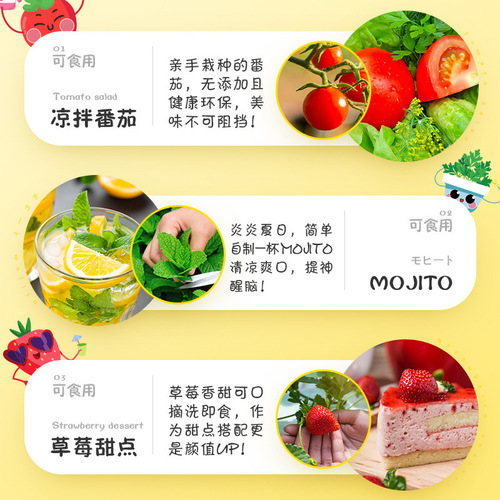 Ecoey children grow small potted green plants observation toys diy flowers indoor mint mosquito repellent flytrap