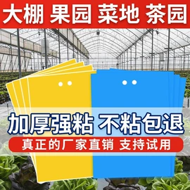 其他园林资材;苍蝇拍;防虫防蛀