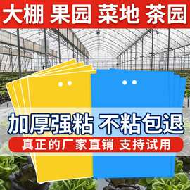 黄板双面粘虫板大棚专用蓟马小黑飞克星茶园果园庭院花卉诱虫蝇板