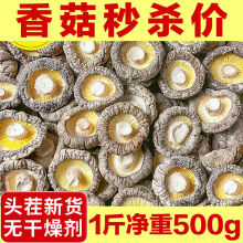 �����ء����o������㹽��؛���l���o�����㹽��؛�����㹽��