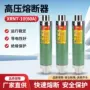 户内限流高分10kv熔断器