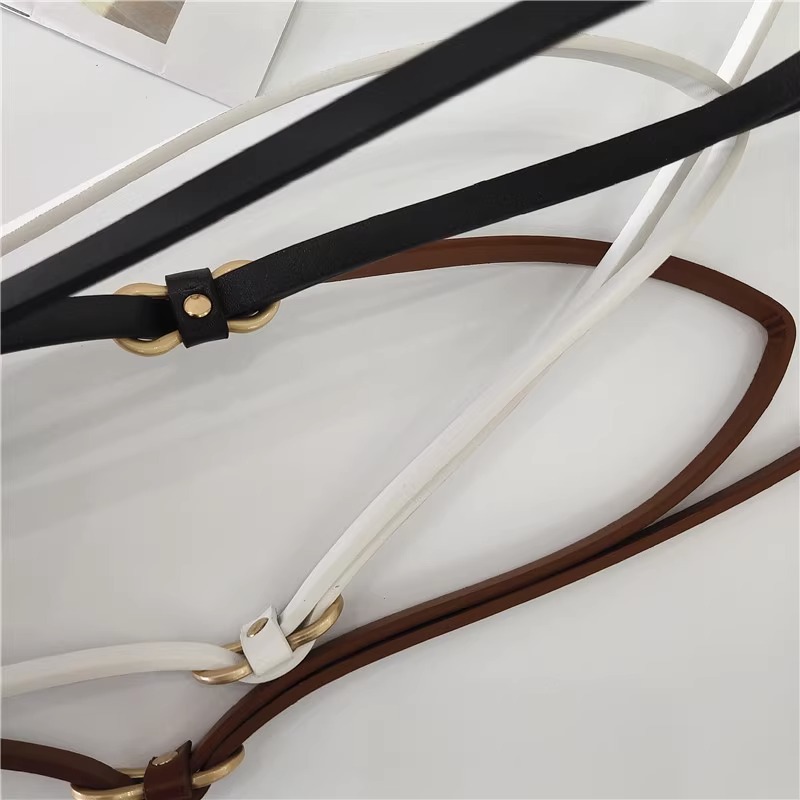 Frühling und Sommer Goldschnalle Flacher geknoteter dünner Gürtel Dekoratives Kleid Ohne Stanzen PU Schmaler Gürtel Kleiner Gürtel für Frauen_voghion.com