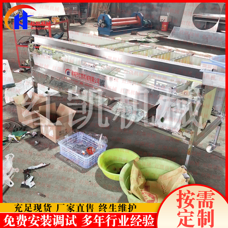 土豆芋头分级机设备 供应大红枣轨道分选机 圣女果分拣机设备