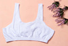 Cotton T-shirt, bra, underwear, 2023 collection, for middle age, wholesale