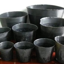 ���l�I�B���I�B����ɫ���������������������һ��