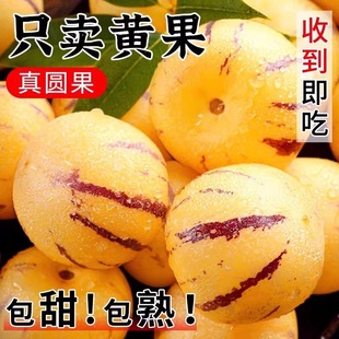 ����˅����S��A�����r�Fժ����ˮ�������������S�Ĵ����Ҏ��