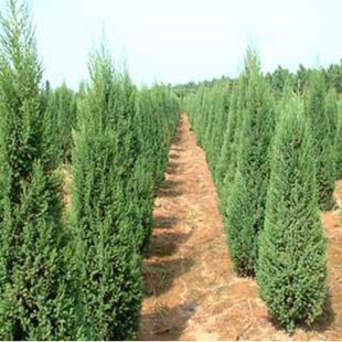 �ļ�����G����ľ��~�������Ƀ~�����ش��ػ��ؾG����ľ���G