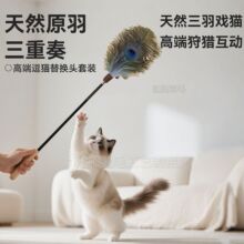 猫玩具山鸡鸵鸟毛逗猫棒铃铛羽毛可替换逗猫玩具赛级木柄逗猫杆
