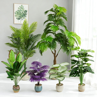 ���W�����Gֲ�͏d�b�ɢβ�������B���˰Ž����Ԉ@ˇ�쾰ֲ��