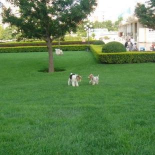 ������Ľ��N�� �����ļ������ �ͺ����`̤ ���ò� ��ƺ�N�ӾG��