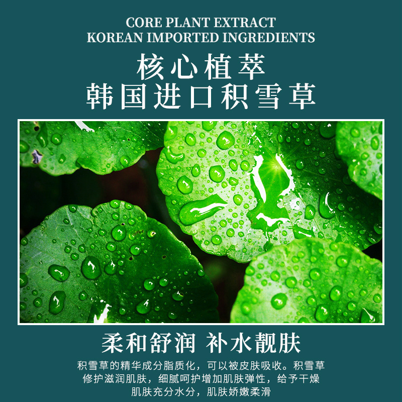 Bai Zhen Tang asiatica máscara facial hidratante, hidratante y rejuvenecedora, máscara facial sin lavado