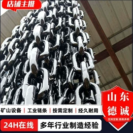 输送机;起重链条;提升机