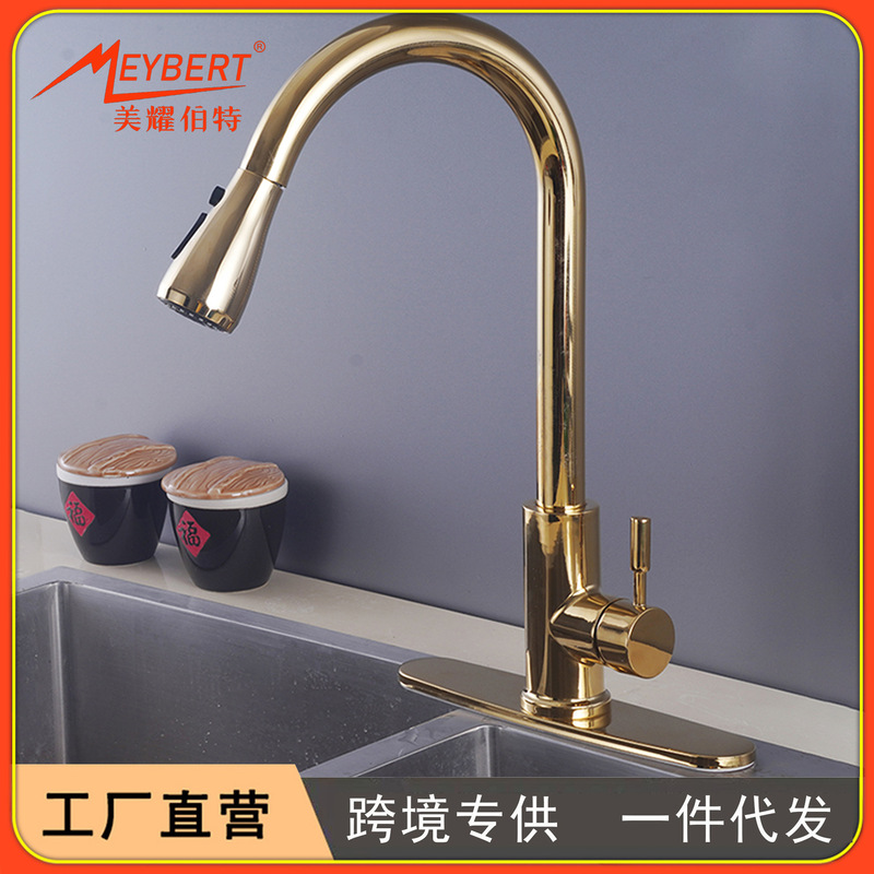 Cross-border Golden Stainless Steel Pull-out Kitchen Faucet Hot and Cold Household Universal Telescopic Vegetable Washing Basin Sink Faucet