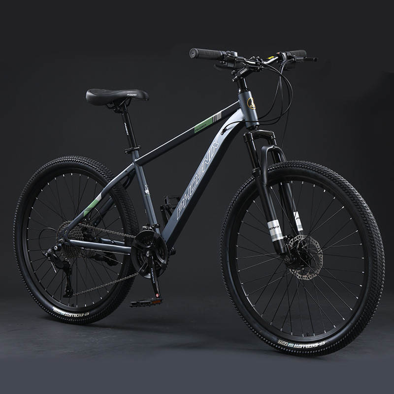 Steel Frame Spoke Wheel-Dark Gray-24 Inch-24 Speed