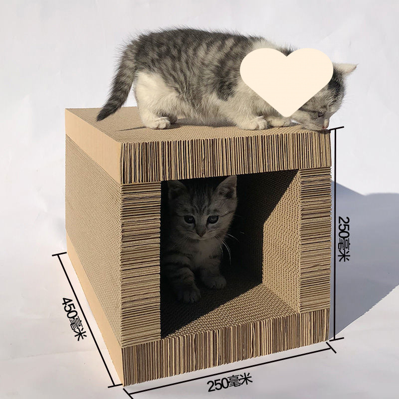 【사각형 고양이 크롤링 홀