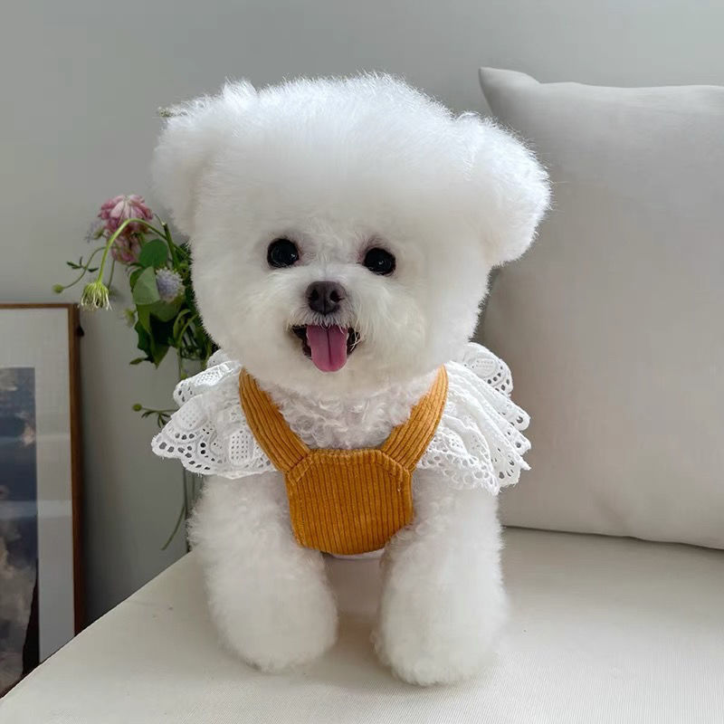 Pet Clothes Autumn and Winter New Corduroy Pumpkin Skirt Traction Buckle Teddy Dog ​​And Cat Warm Lace Skirt Factory