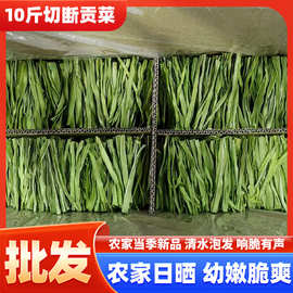 切断贡菜干苔干承接工厂火锅涮菜脱水蔬菜10斤切断贡菜干外贸出口