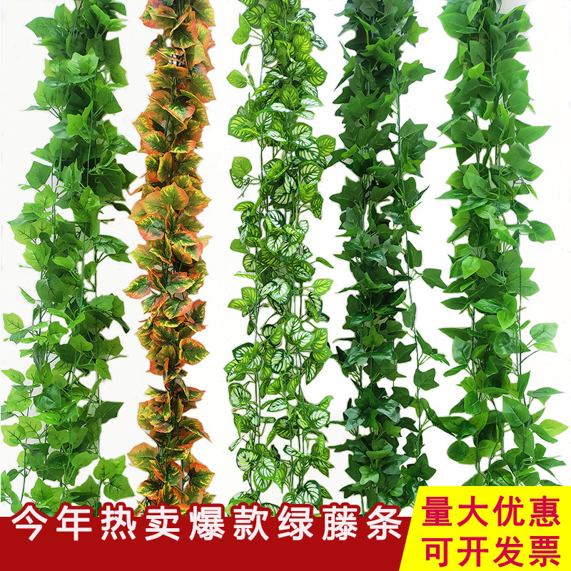 Bulk simulated rattan green plant ceiling drapery covering decoration grape leaves pothos climbing ivy artificial flowers vine