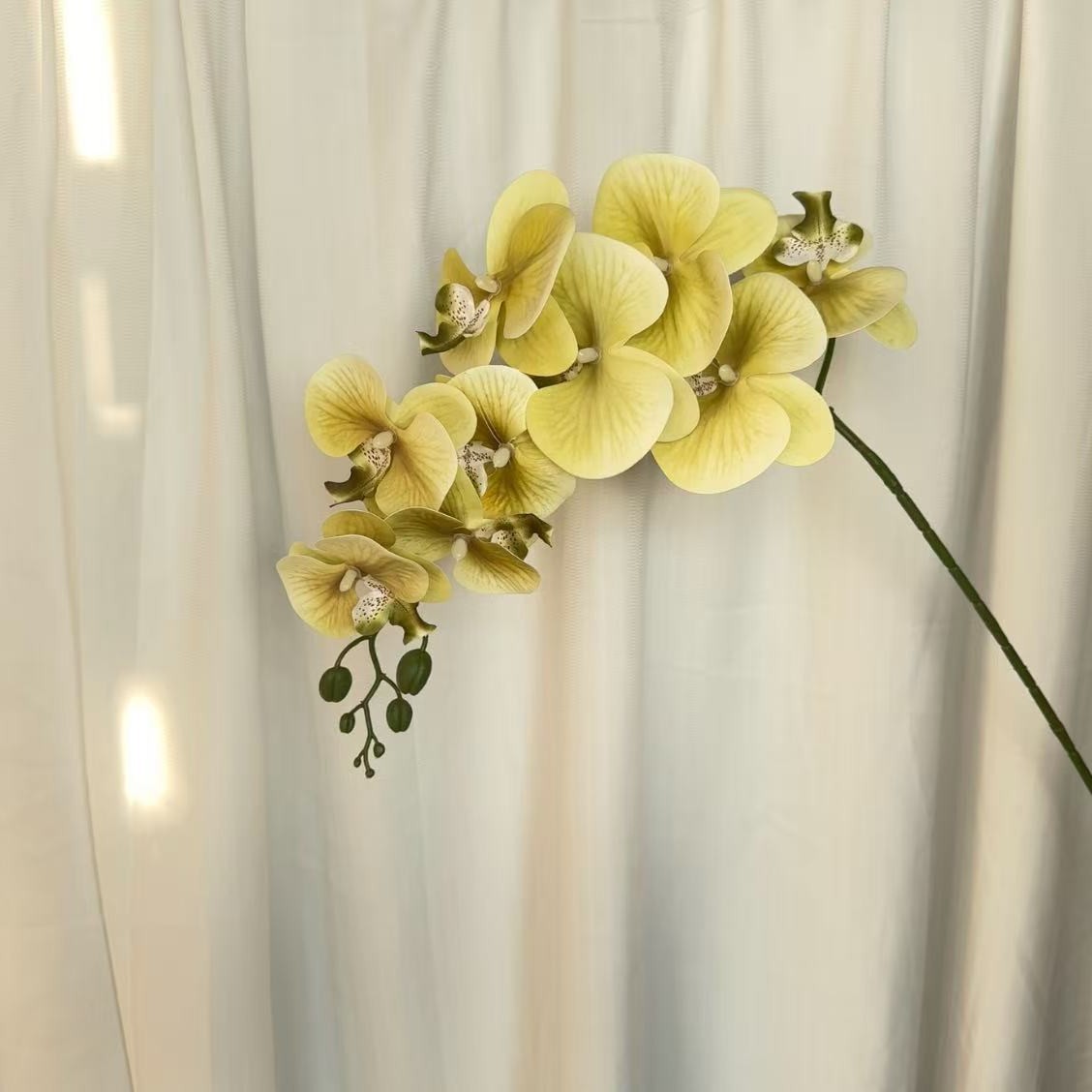 9-cabeza película Phalaenopsis flor artificial salón comedor Mesa alta rama piso decoración flor falsa Boda boda arreglo de flores