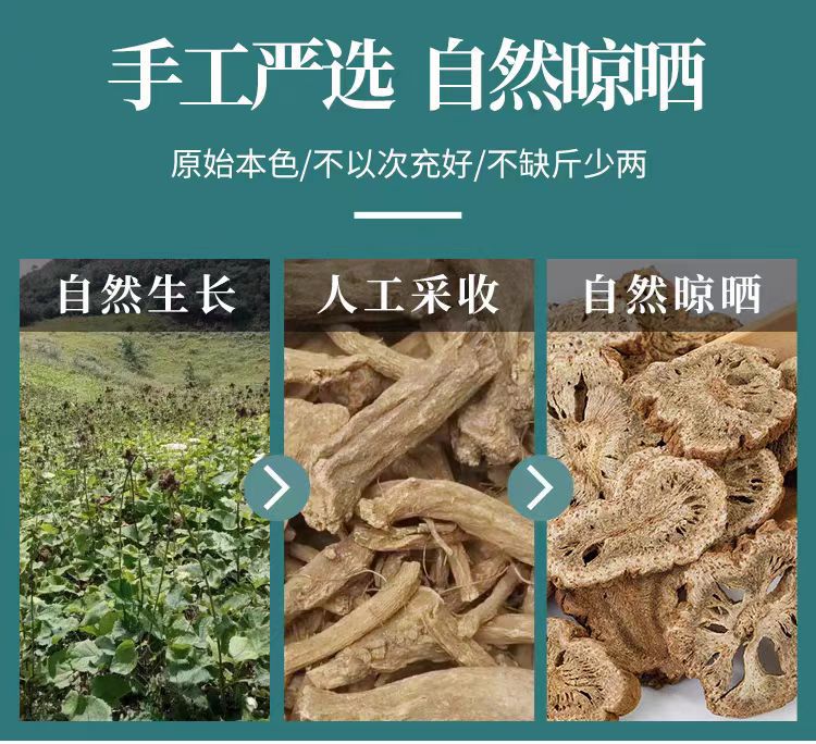 Mu Xiang (Aucklandia lappa) — Dried Costus Root for TCM Cooking & Spice Blends quality and texture