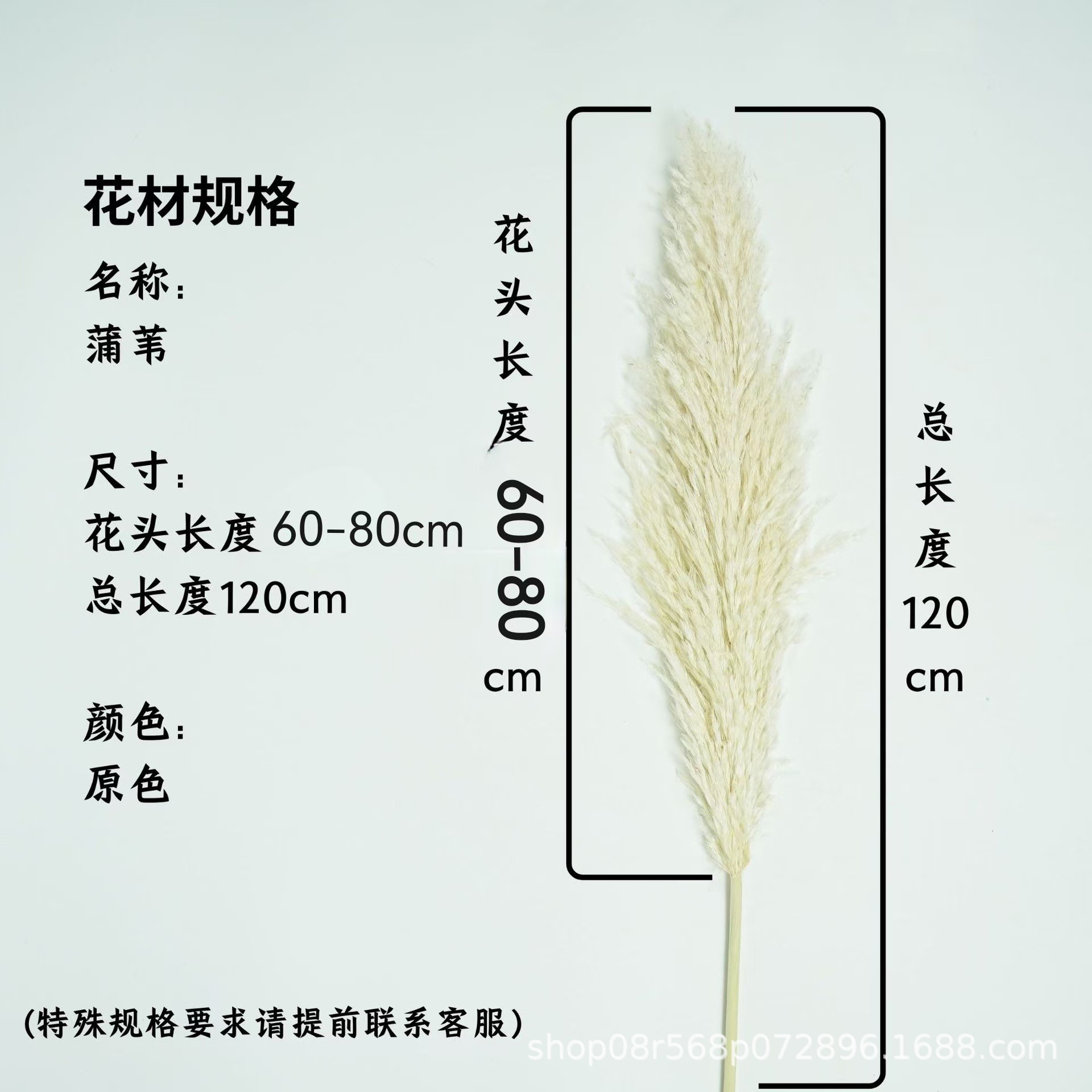 꽃 머리 60-약 80cm